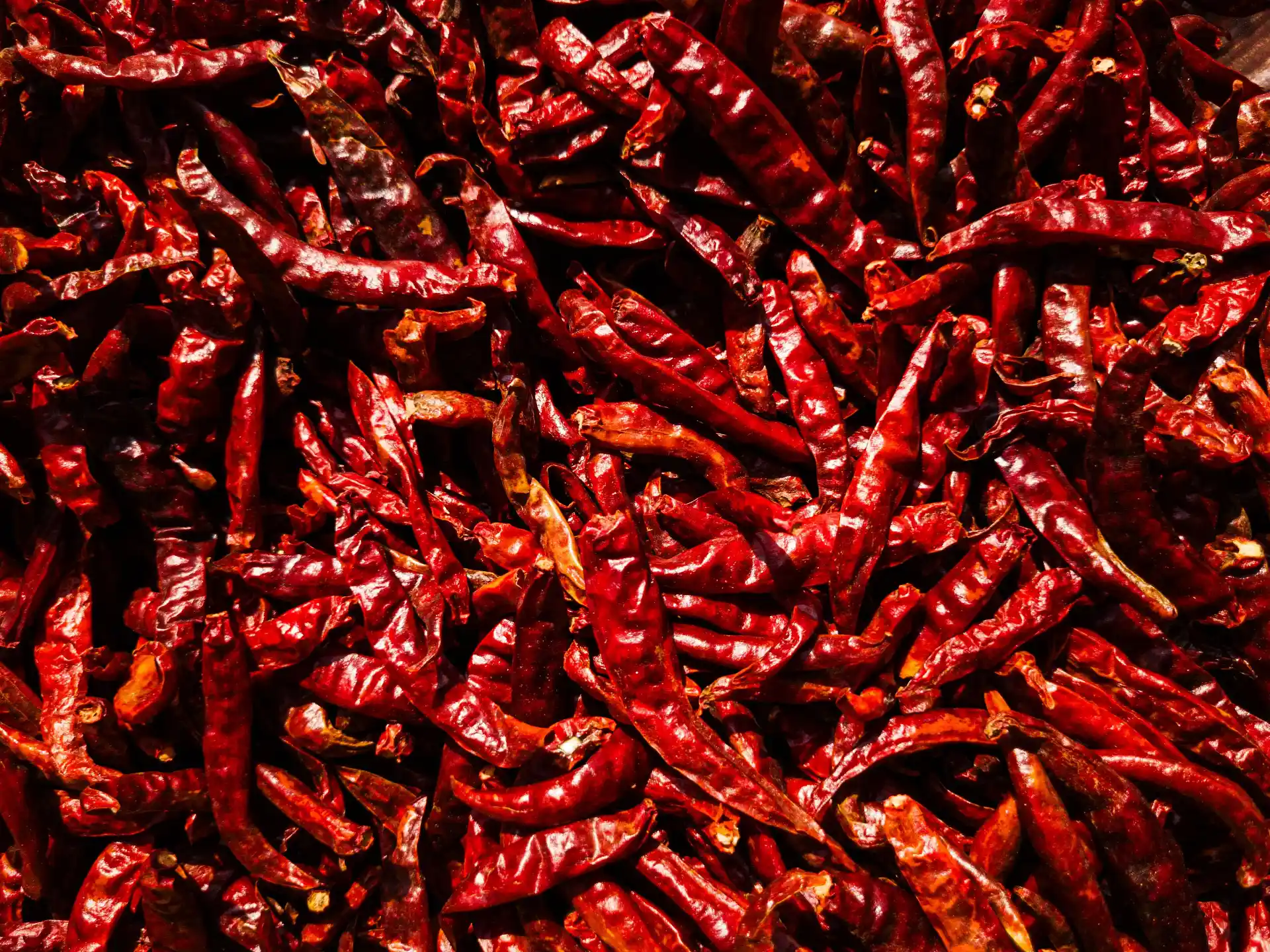 Red Chilli Exporter from India